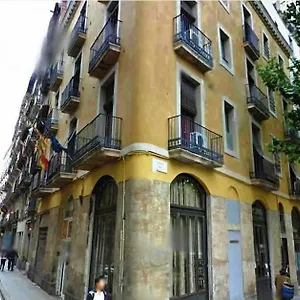 בית הארחה Hostal Nou Raval, ברצלונה